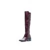 Ali MacGraw Sleek Boot