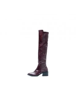 Ali MacGraw Sleek Boot