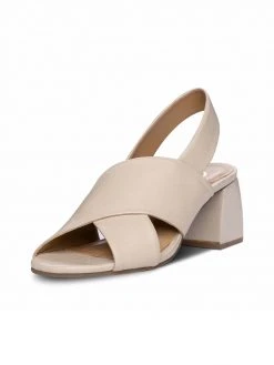 Golo Fever New Arrivals