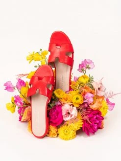 Patricia Green Hallie Flat Sandal New Arrivals